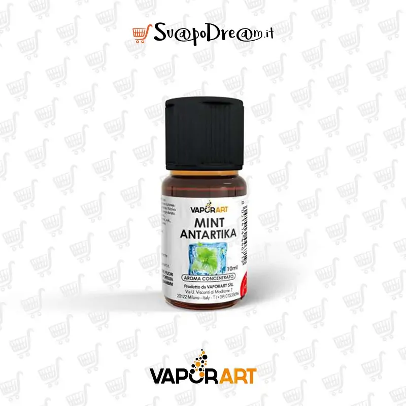 VAPORART - Aroma Concentrato 10ml MINT ANTARTIKA